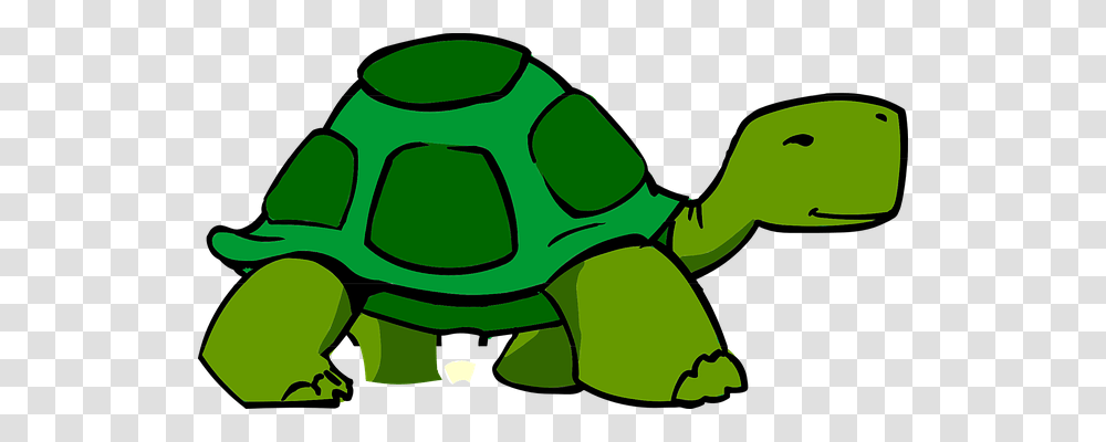 Turtle Nature, Green, Animal, Reptile Transparent Png