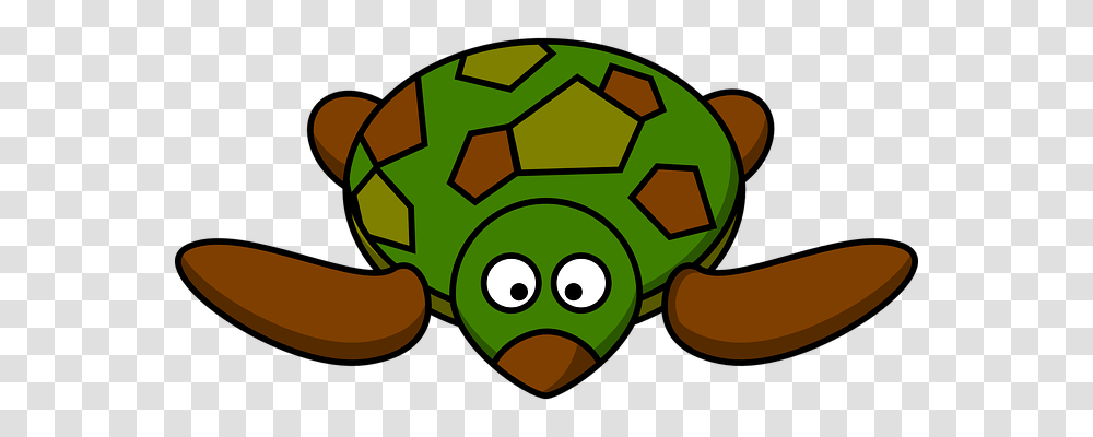 Turtle Animals, Green, Soccer Ball, Team Transparent Png