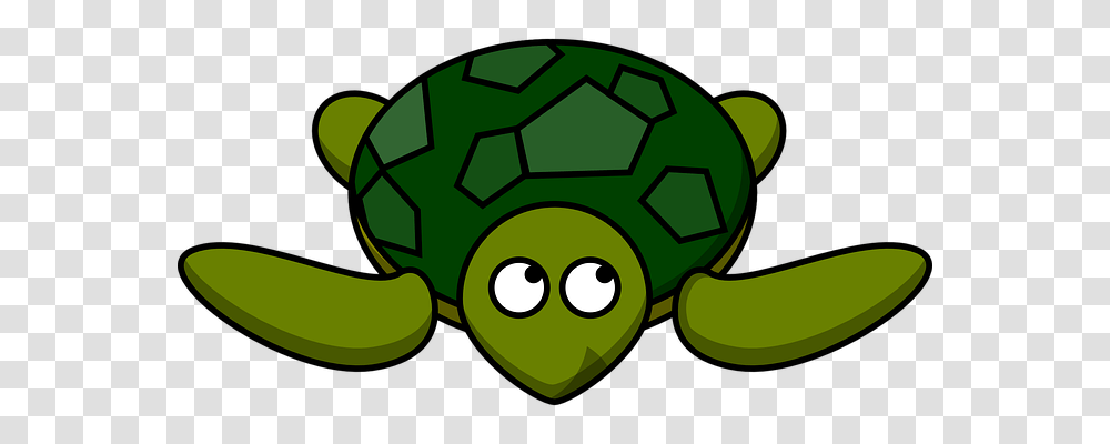Turtle Animals, Green, Recycling Symbol, Soccer Ball Transparent Png