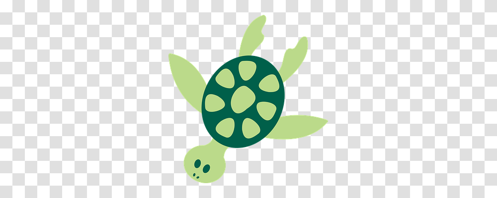 Turtle Holiday, Plant, Rattle, Animal Transparent Png