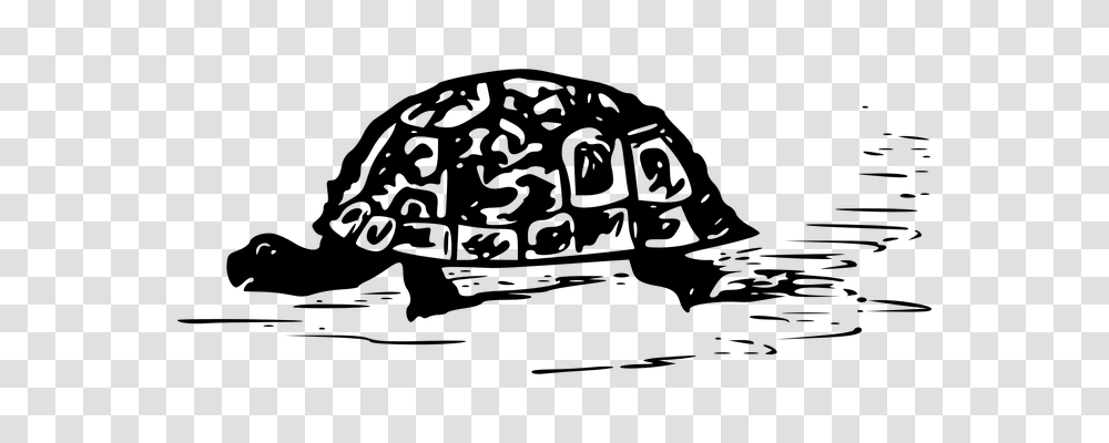 Turtle Animals, Gray, World Of Warcraft Transparent Png