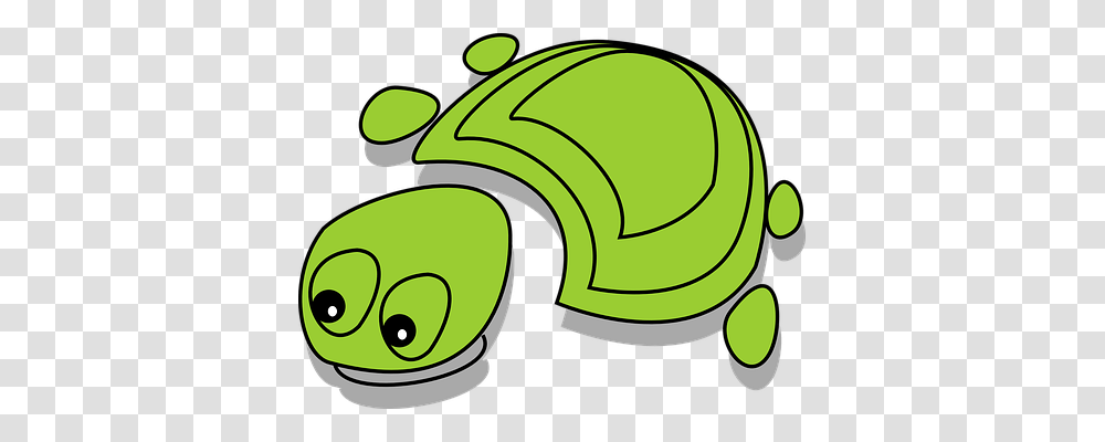 Turtle Holiday, Green, Plant Transparent Png