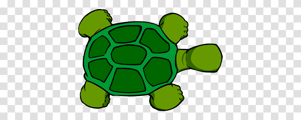 Turtle Animals, Soccer Ball, Sphere, Green Transparent Png