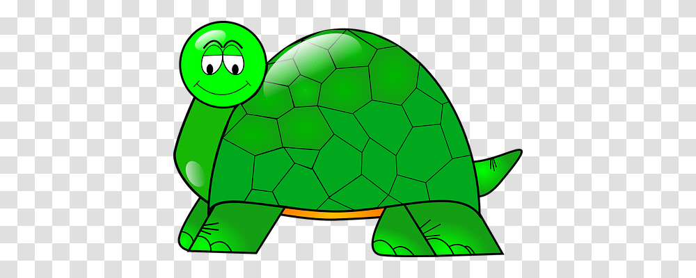 Turtle Nature, Soccer Ball, Football, Team Sport Transparent Png