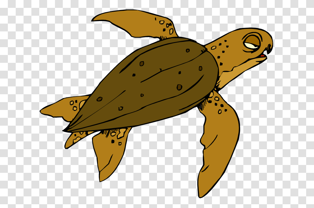 Turtle, Animal, Sea Life, Tortoise, Reptile Transparent Png