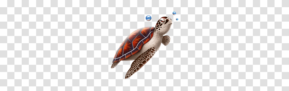 Turtle, Animals, Reptile, Sea Life, Tortoise Transparent Png