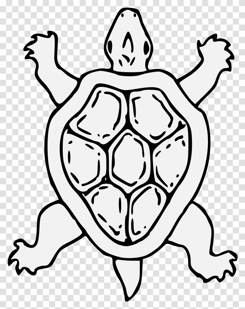 Turtle, Armor, Stencil Transparent Png