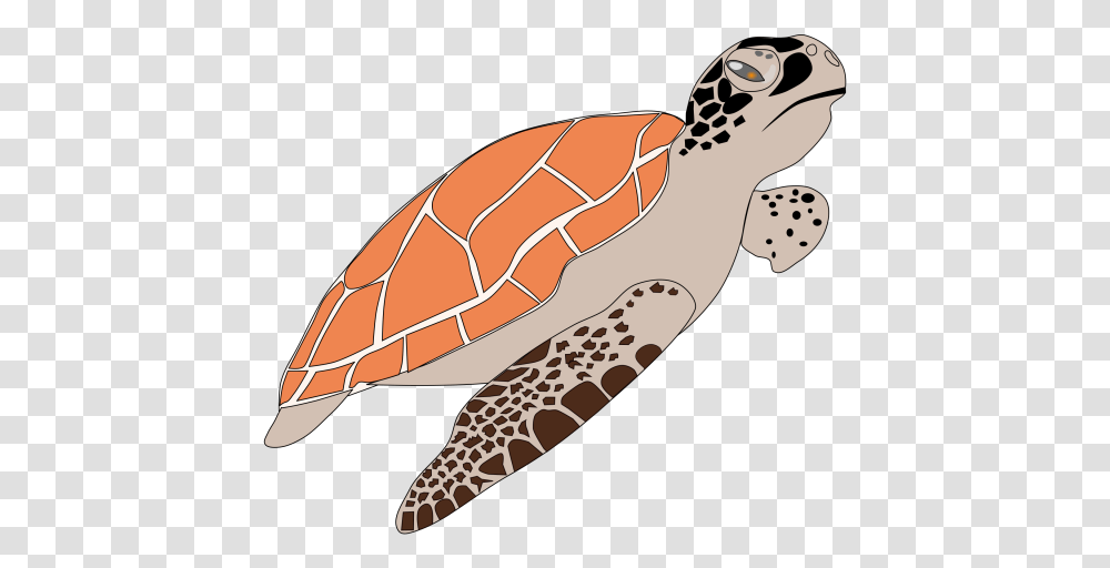 Turtle Background Image Dibujo De Animales Tortuga Marina, Reptile, Sea Life, Sea Turtle, Tortoise Transparent Png