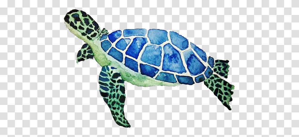 Turtle Background Sea Turtle, Reptile, Sea Life, Animal, Tortoise Transparent Png