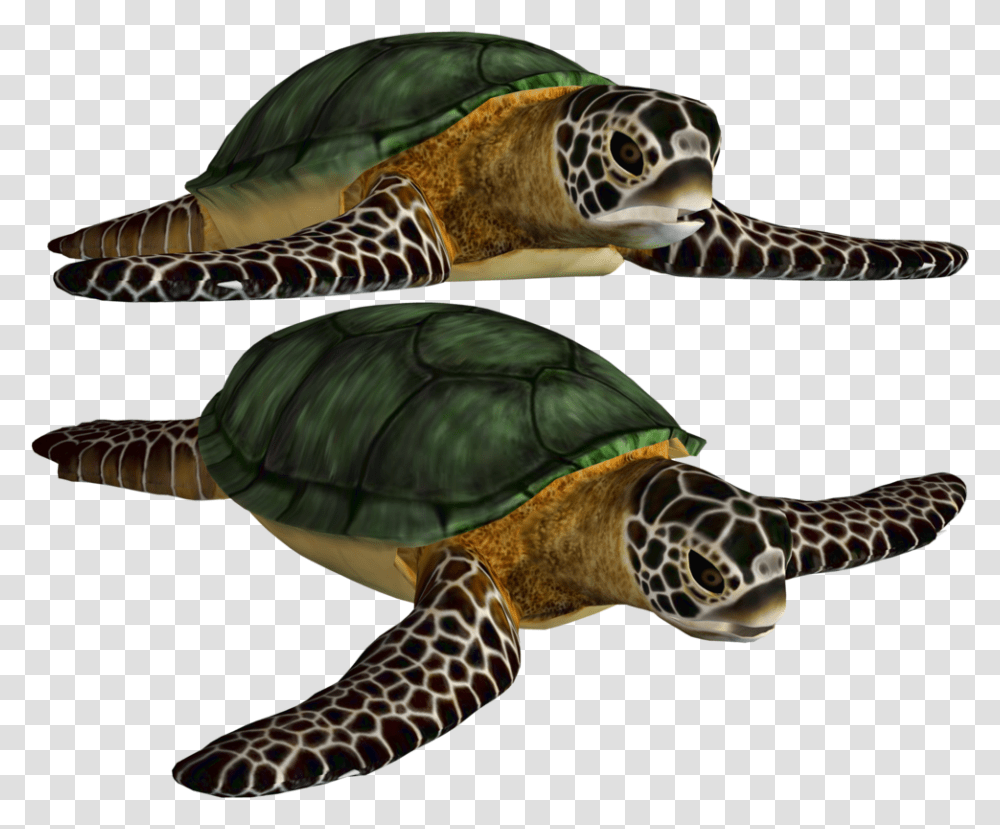 Turtle Best Clipart Fish Sea Turtles, Tortoise, Reptile, Sea Life, Animal Transparent Png