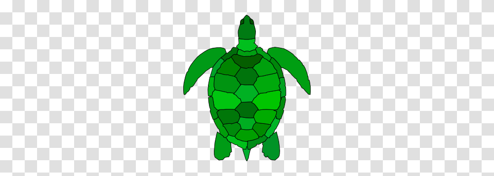 Turtle Clip Art, Soccer Ball, Football, Team Sport, Sports Transparent Png