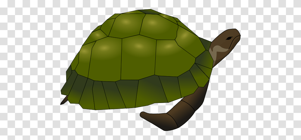 Turtle Clip Art, Soccer Ball, Football, Team Sport, Sports Transparent Png