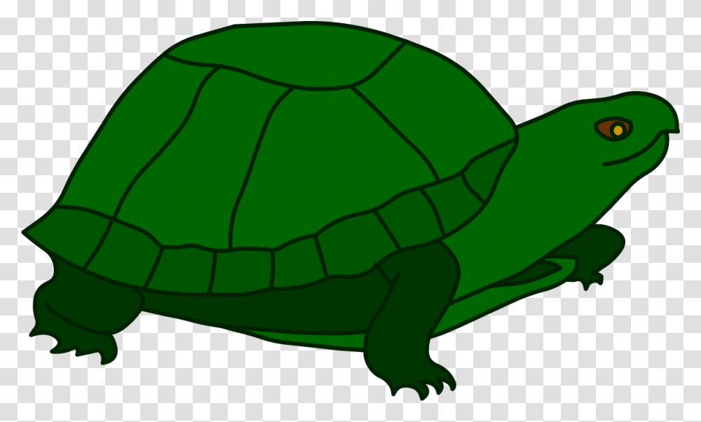 Turtle Clip Art Tortoise, Reptile, Animal, Sea Life, Green Transparent Png
