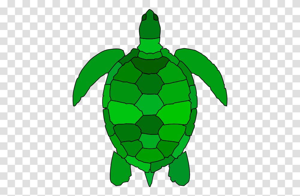 Turtle Clip Art, Tortoise, Reptile, Sea Life, Animal Transparent Png