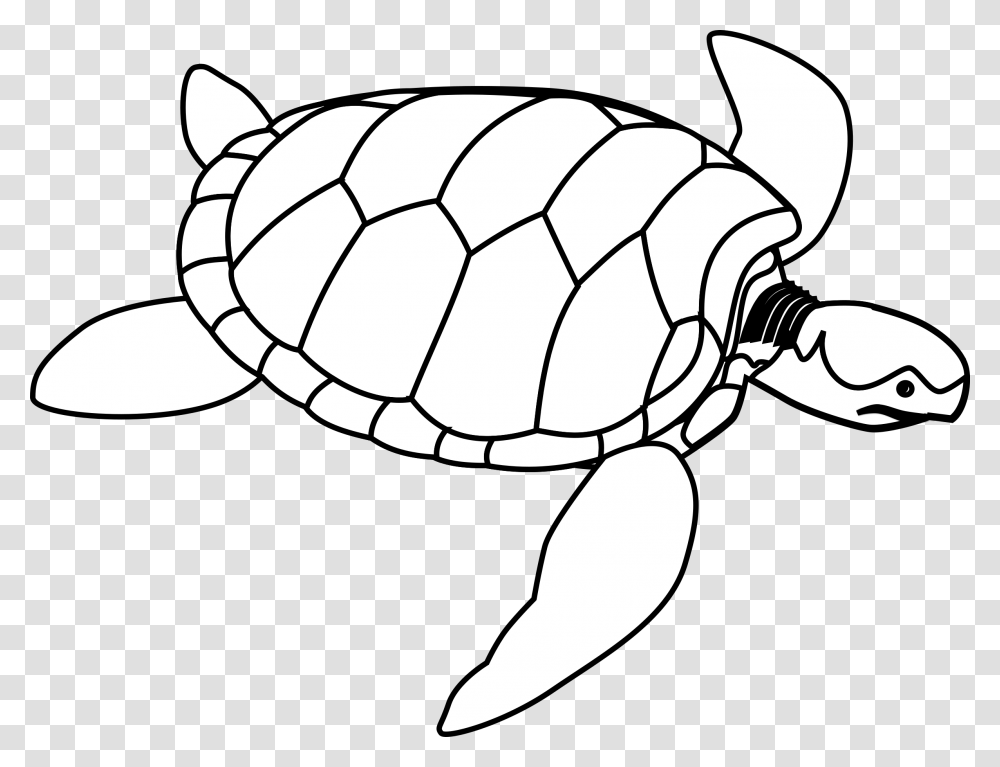 Turtle Clip Art, Tortoise, Reptile, Sea Life, Animal Transparent Png