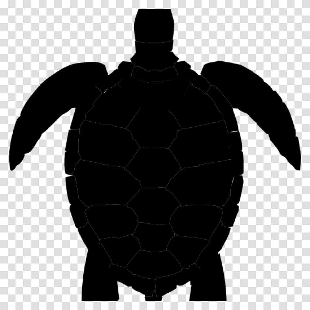 Turtle Clipart Black And White K Clip Art Sea Images Pictures, Gray, World Of Warcraft Transparent Png