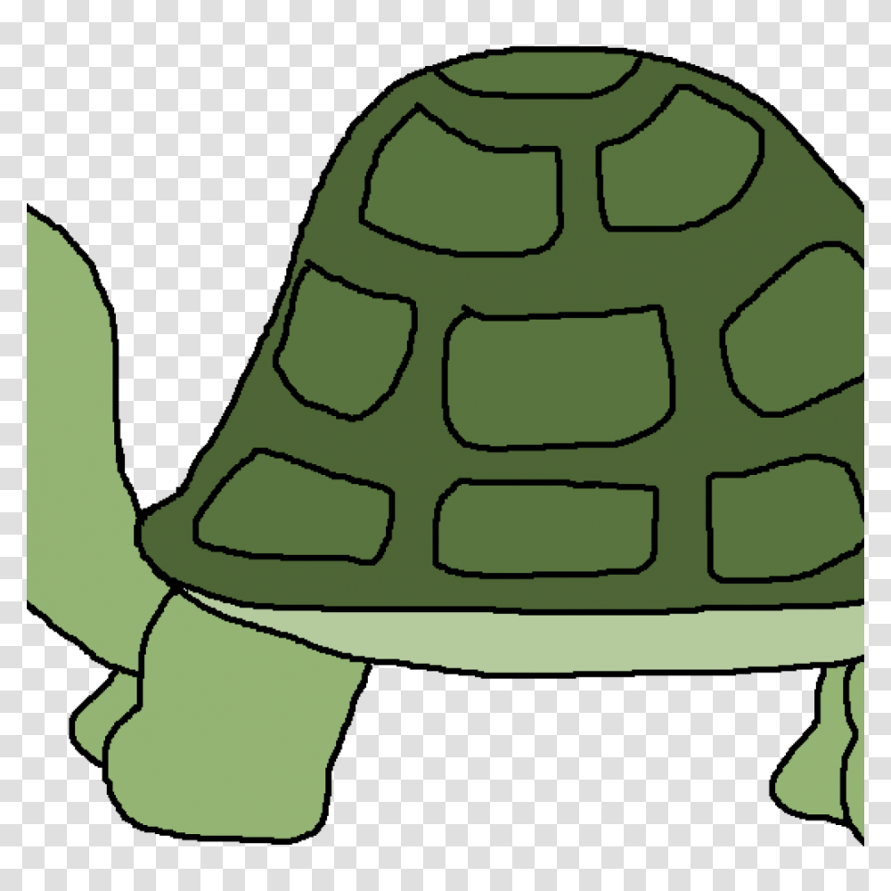 Turtle Clipart Free Pizza Clipart, Nature, Outdoors, Snow, Building Transparent Png