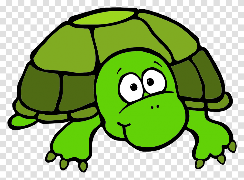 Turtle Clipart, Green, Reptile, Animal, Painting Transparent Png