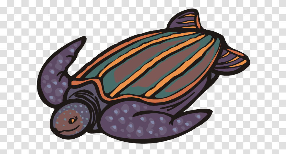 Turtle Clipart Leatherback Sea Turtles Clipart, Sea Life, Animal, Tortoise, Reptile Transparent Png