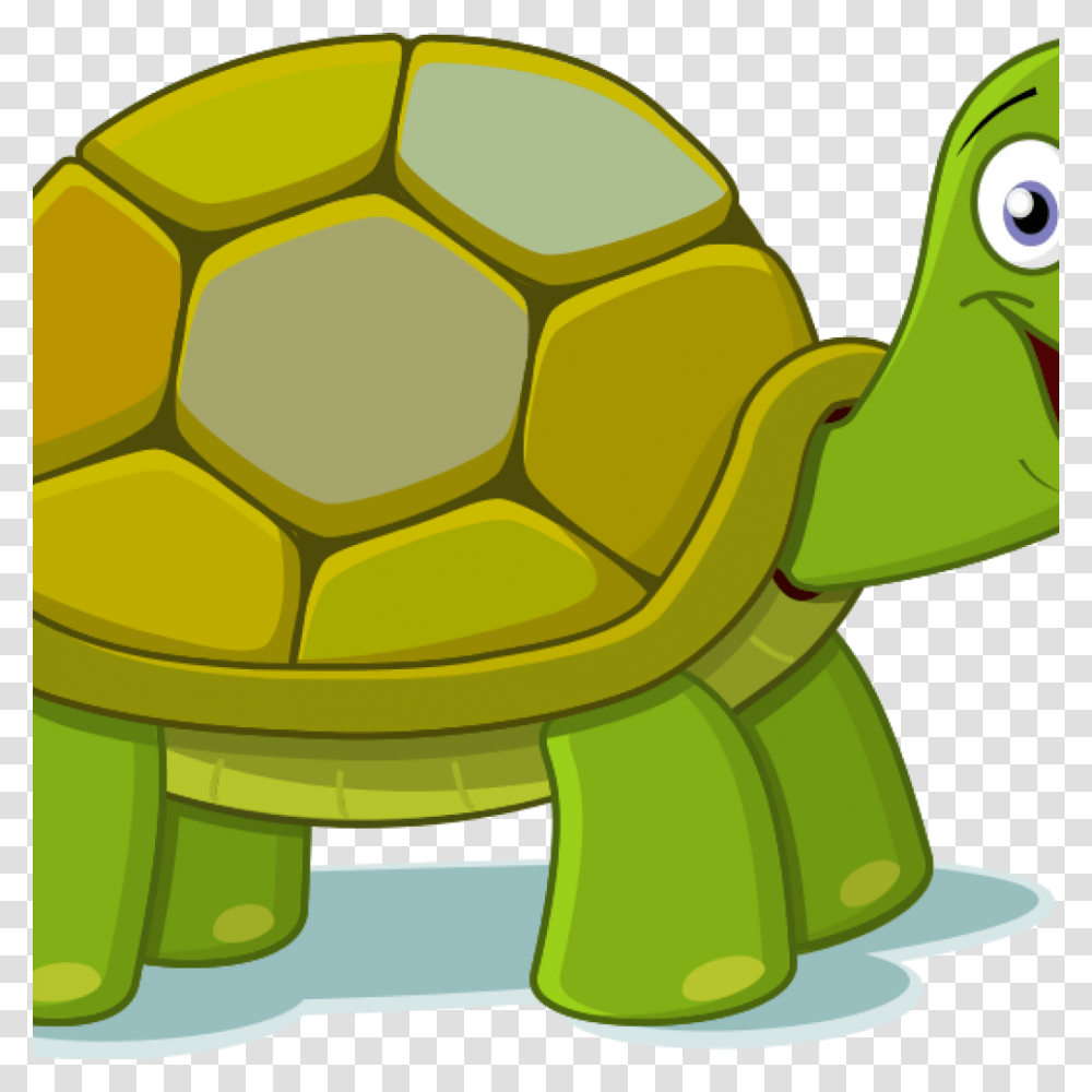 Turtle Clipart Money Clipart House Clipart Online Download, Soccer Ball, Team Sport, Sports, Animal Transparent Png