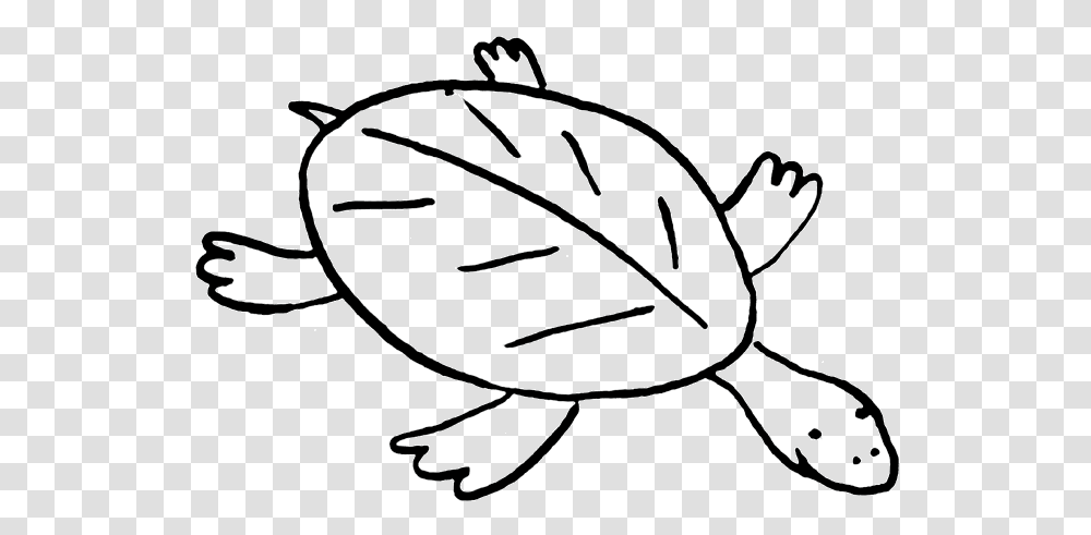 Turtle Clipart, Plant, Seed, Grain, Produce Transparent Png