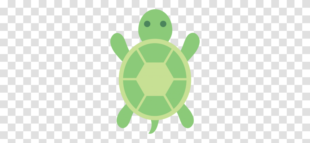 Turtle Clipart Top View, Tortoise, Reptile, Sea Life, Animal Transparent Png