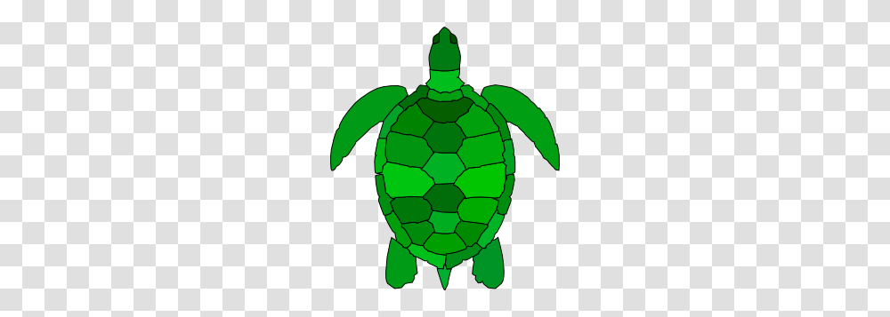 Turtle Cliparts Free, Soccer Ball, Football, Team Sport, Person Transparent Png