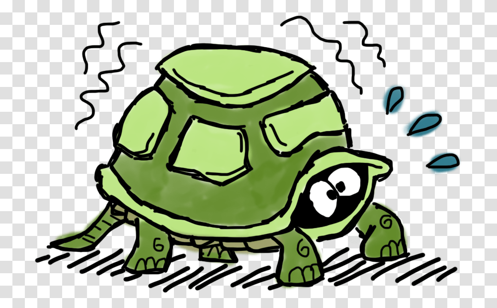 Turtle Coming Out Of Shell Cartoon, Tortoise, Reptile, Sea Life, Animal Transparent Png