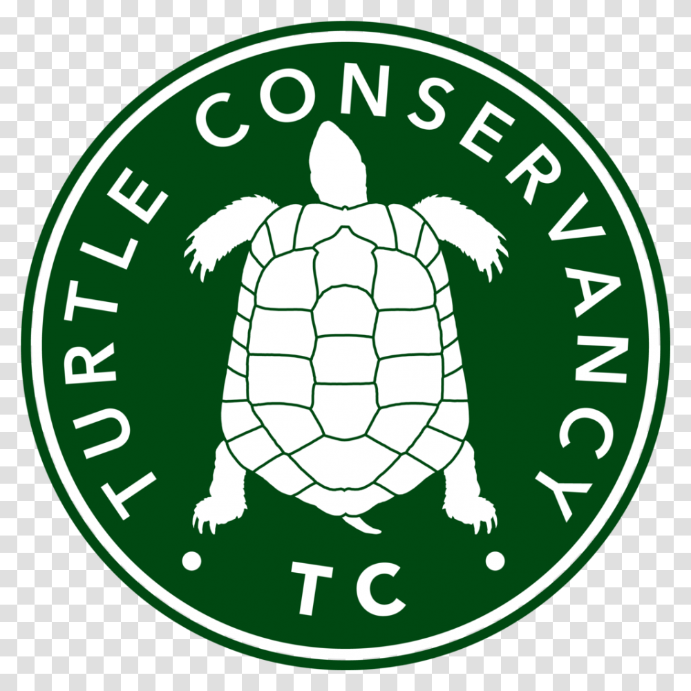 Turtle Conservancy American League Champs 2019, Logo, Trademark, Animal Transparent Png