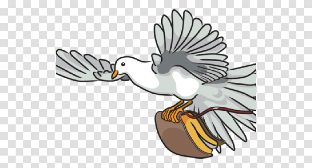 Turtle Dove Clipart Bible, Animal, Bird, Dodo, Pelican Transparent Png