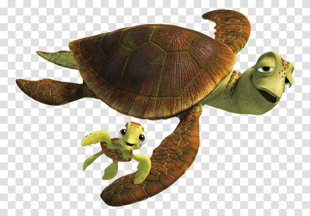 Turtle From Finding Nemo, Reptile, Sea Life, Animal, Outdoors Transparent Png