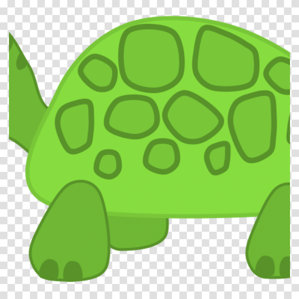 Turtle Images Clip Art Basketball Clipart House Clipart Online, Animal, Reptile, Lawn Mower, Tool Transparent Png