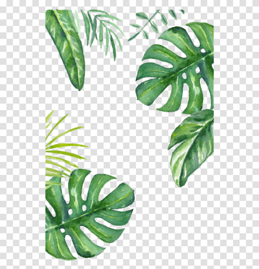 Turtle Leaf Painted Wallpaper Hand Bamboo Banana Clipart Leaves Jungle Drawing, Plant, Fern, Flower, Blossom Transparent Png