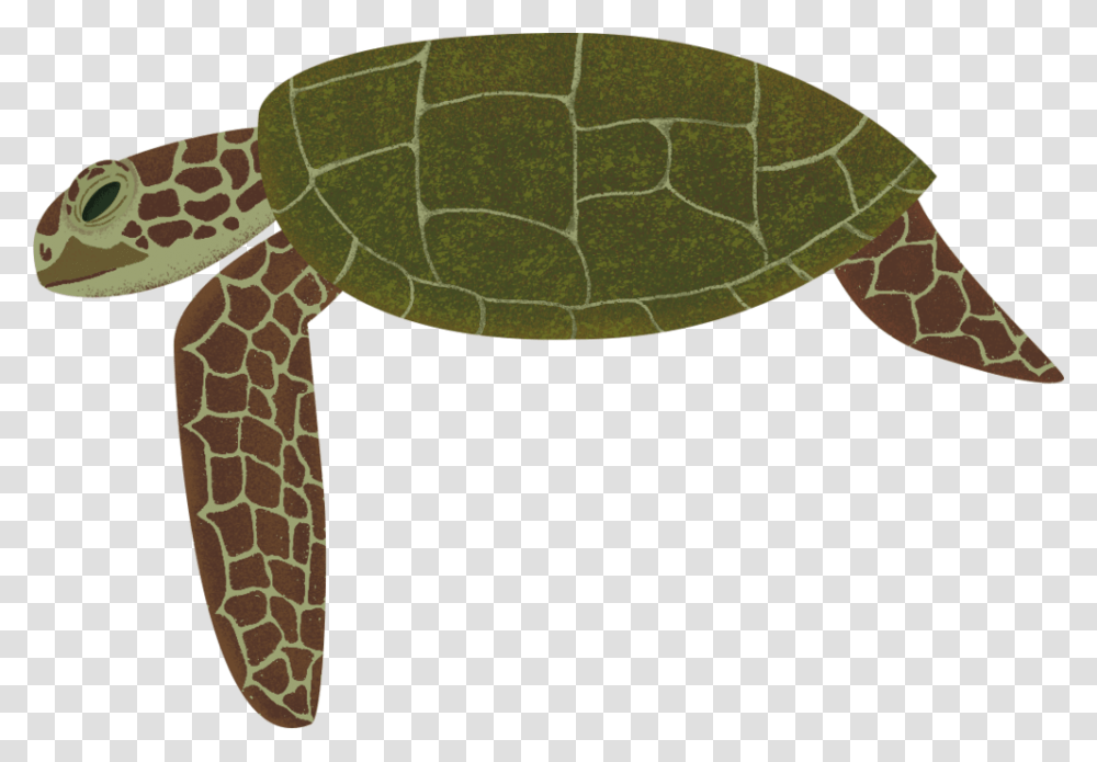 Turtle, Leaf, Plant, Reptile, Sea Life Transparent Png