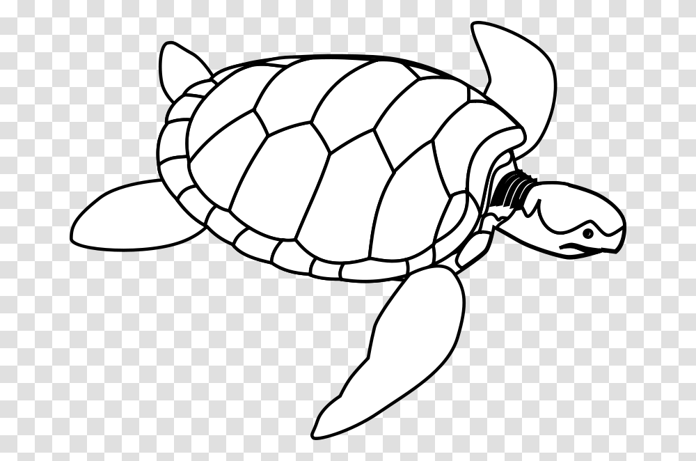 Turtle Line Art Valessiobrito Green Sea Turtle, Animals, Tortoise, Reptile, Sea Life Transparent Png