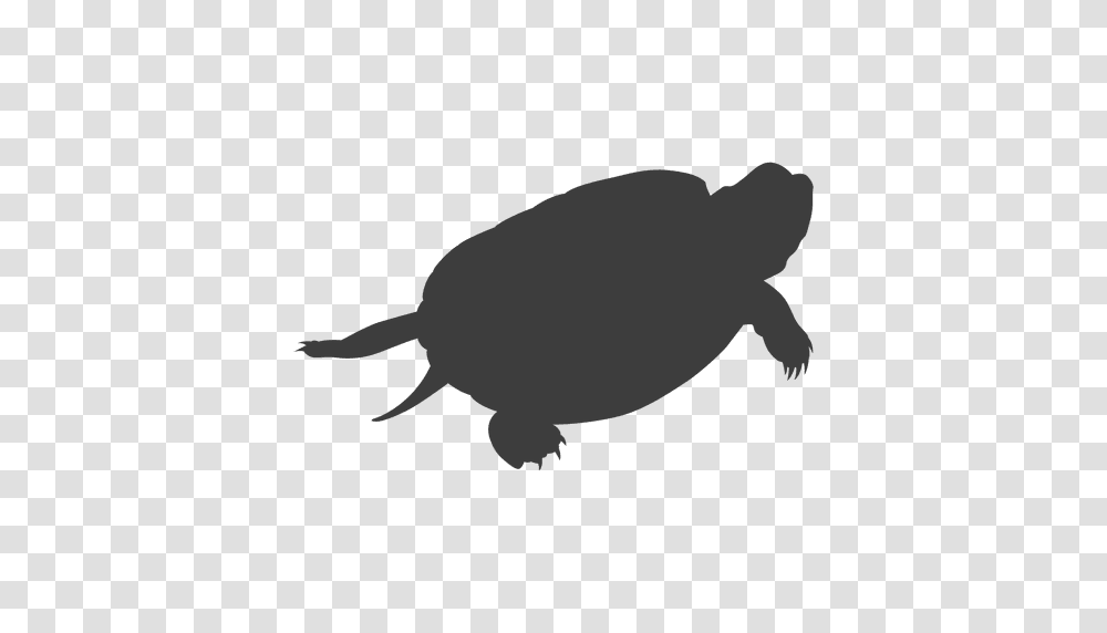 Turtle Lying Silhouette, Tortoise, Reptile, Sea Life, Animal Transparent Png