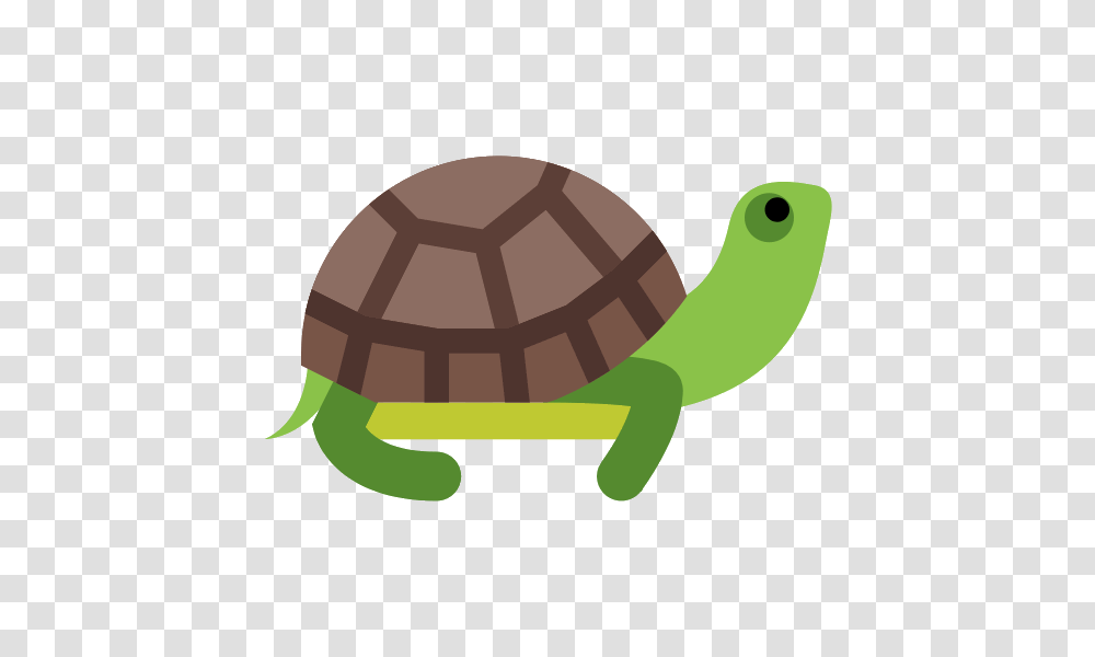 Turtle Photos, Tortoise, Reptile, Sea Life, Animal Transparent Png