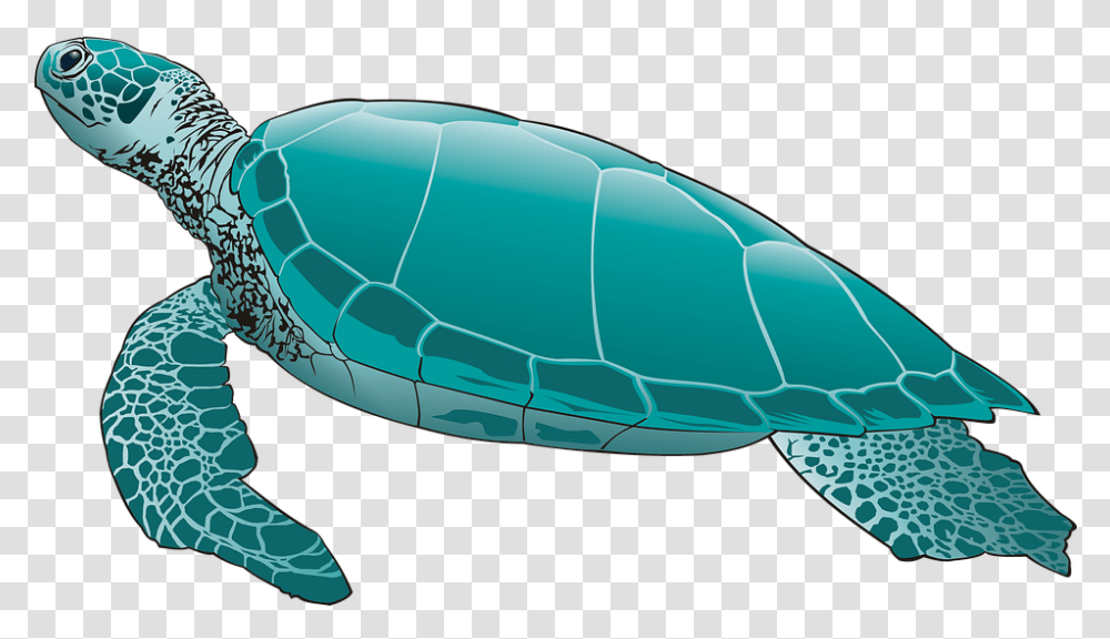 Turtle Pic Skip The Straw Save A Sea Turtle, Reptile, Animal, Sea Life, Tortoise Transparent Png