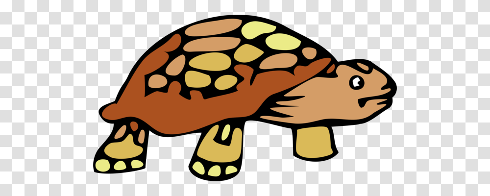 Turtle Reptile Desert Tortoise Russian Tortoise Gopher Tortoises, Sweets, Food, Plant, Produce Transparent Png