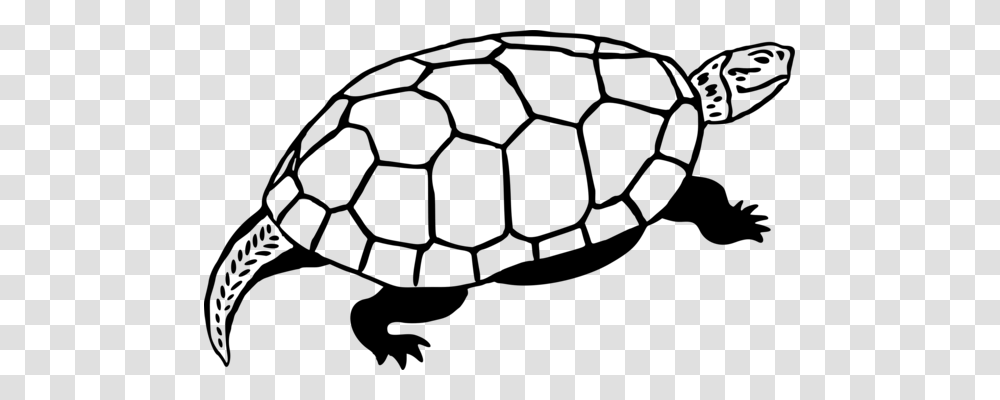 Turtle Reptile Desert Tortoise Vertebrate, Gray, World Of Warcraft Transparent Png