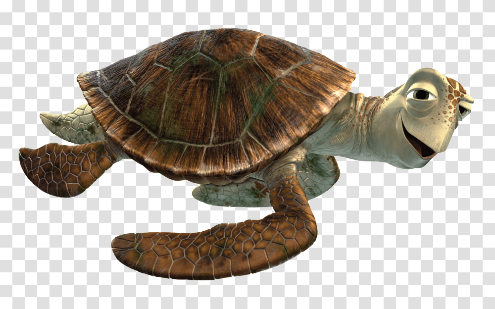 Turtle, Reptile, Sea Life, Animal Transparent Png