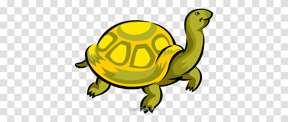 Turtle Royalty Free Vector Clip Art Illustration, Animal, Tortoise, Reptile, Sea Life Transparent Png