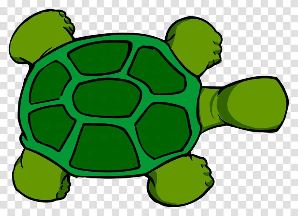 Turtle Shell Clipart Cartoon Turtle Birds Eye View, Green, Soccer Ball, Sphere, Soil Transparent Png