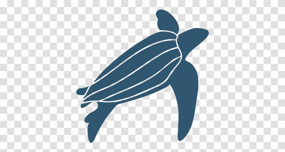 Turtle Shell Detailed Silhouette Animal Illustration, Sea Turtle, Reptile, Sea Life, Tortoise Transparent Png