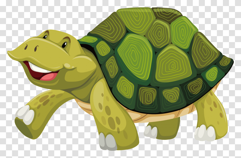 Turtle Shell Stock Photography Illustration Cartoon Green Turtle Shell, Tortoise, Reptile, Sea Life, Animal Transparent Png