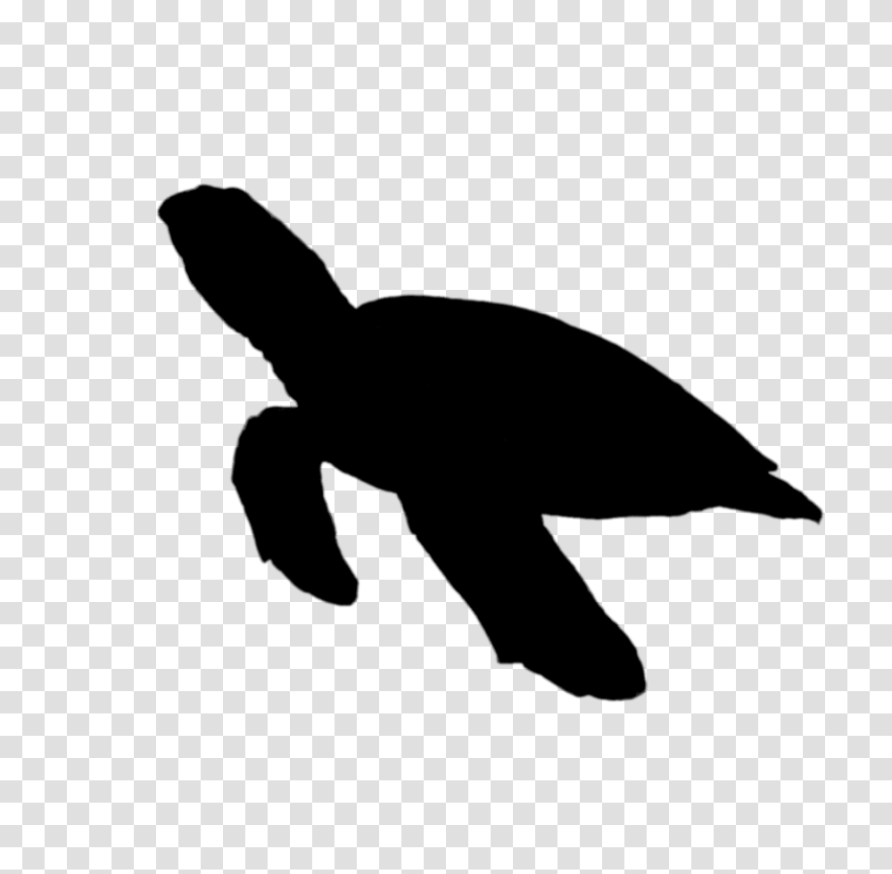 Turtle Silhouette Free Download, Screen, Electronics Transparent Png