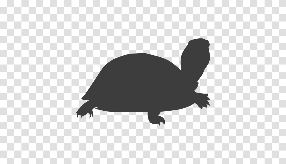 Turtle Silhouette Turtle Silhouette, Tortoise, Reptile, Sea Life, Animal Transparent Png