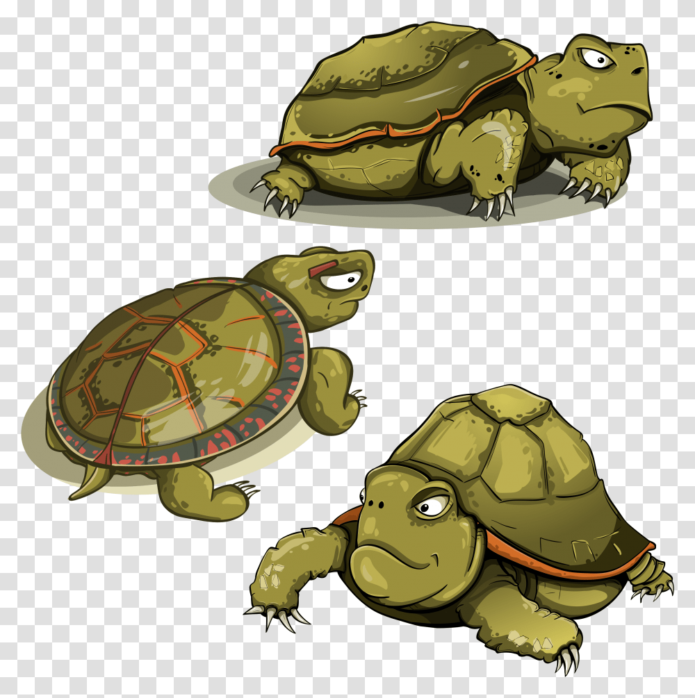 Turtle Tortoise Shell Animals Funny Green Turtle Vector, Reptile, Sea Life, Helmet Transparent Png
