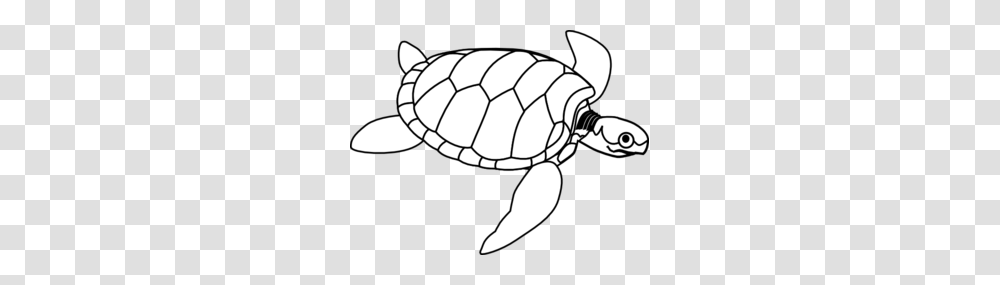 Turtle With Big Eye Clip Art, Soccer Ball, Football, Team Sport, Sports Transparent Png