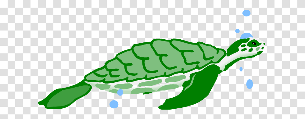 Turtles Clip Art, Animal, Amphibian, Wildlife, Frog Transparent Png